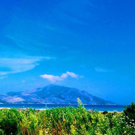 Apartment Albania 奥里库姆 外观 照片