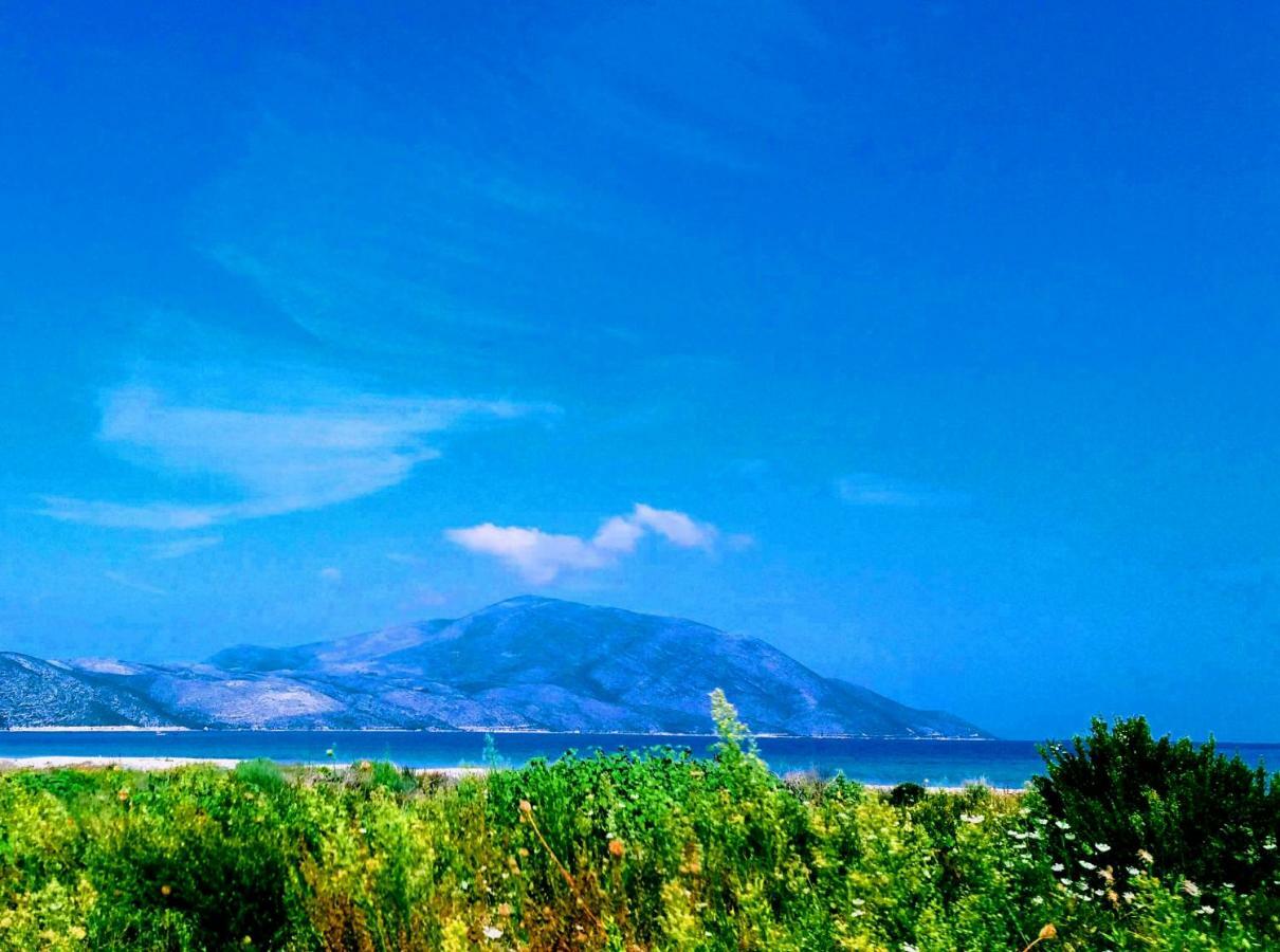 Apartment Albania 奥里库姆 外观 照片